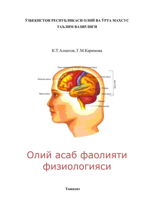 Олий нерв фаолияти физ